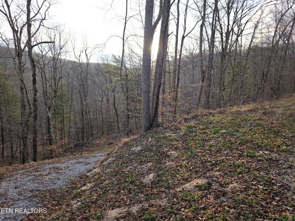 Old US Highway 27-Mtn View Rd , Robbins, TN 37852