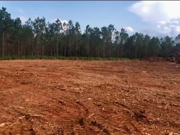 0 Sanford Road, Nicholson, GA 30565