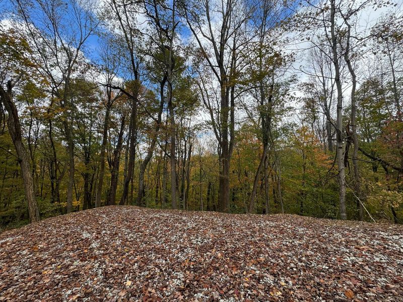 7471 Township Rd 215-A SE, Unit (Tract 4 a, Corning, OH 43730 Photo 10