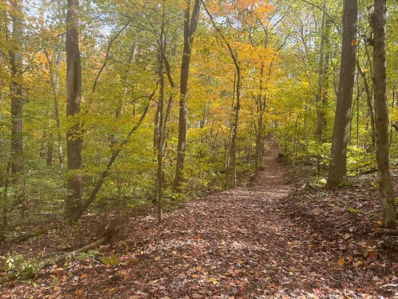 7471 Township Rd 215-A SE, Unit (Tract 4 a, Corning, OH 43730 Photo 14