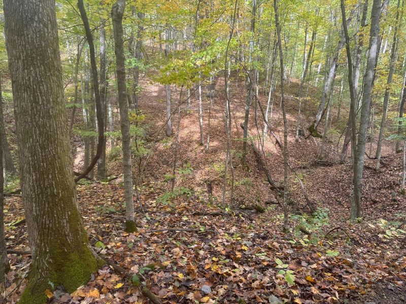 7471 Township Rd 215-A SE, Unit (Tract 4 a, Corning, OH 43730 Photo 15