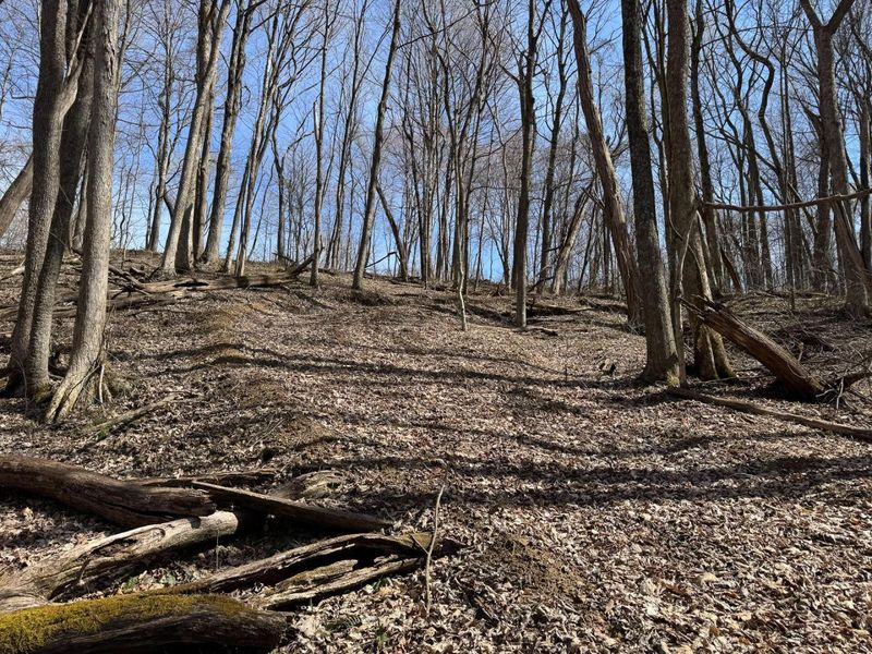 7471 Township Rd 215-A SE, Unit (Tract 4 a, Corning, OH 43730 Photo 17