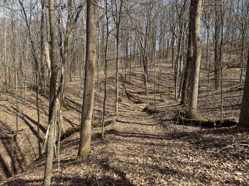 7471 Township Rd 215-A SE, Unit (Tract 4 a, Corning, OH 43730 Photo 18