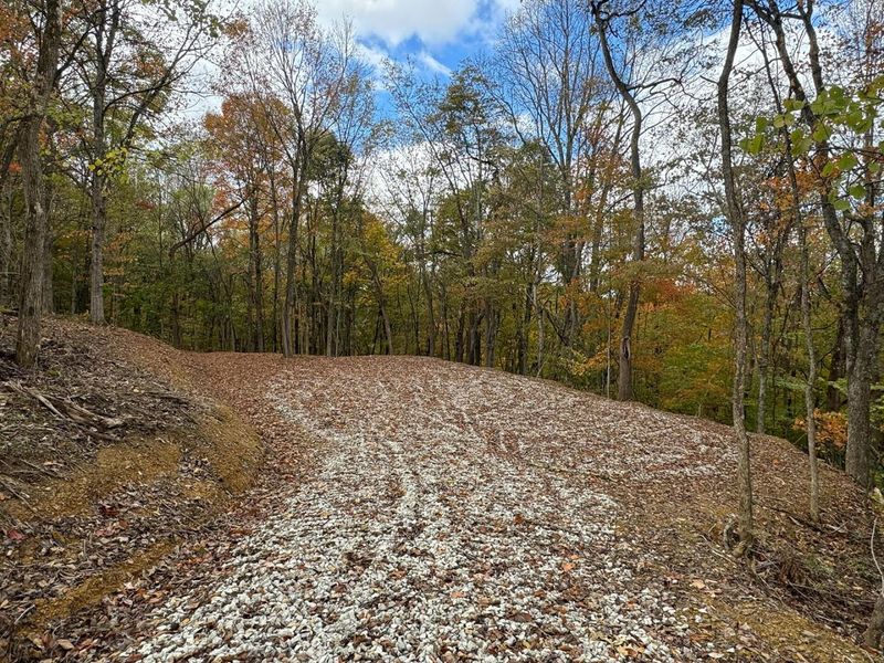 7471 Township Rd 215-A SE, Unit (Tract 4 a, Corning, OH 43730 Photo 2