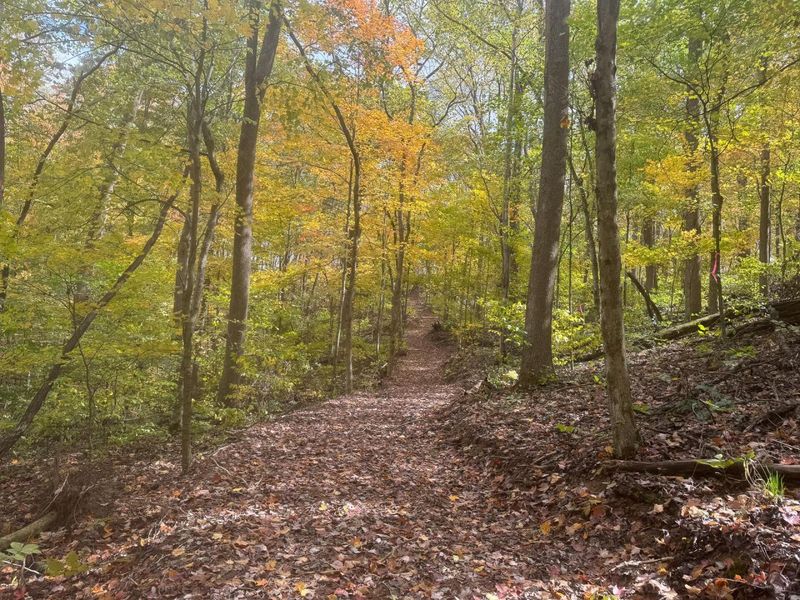 7471 Township Rd 215-A SE, Unit (Tract 4 a, Corning, OH 43730 Photo 3