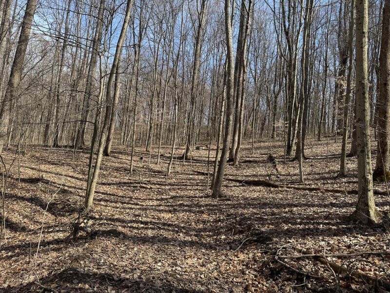 7471 Township Rd 215-A SE, Unit (Tract 4 a, Corning, OH 43730 Photo 4