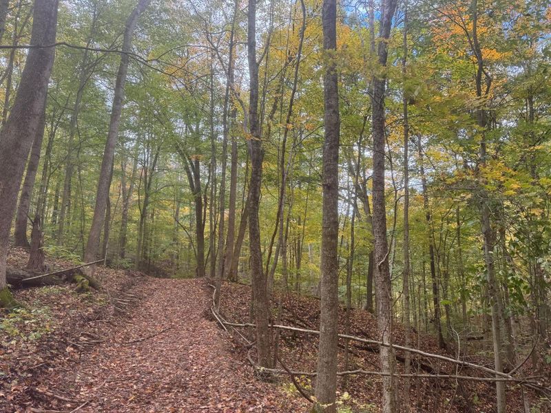 7471 Township Rd 215-A SE, Unit (Tract 4 a, Corning, OH 43730 Photo 5