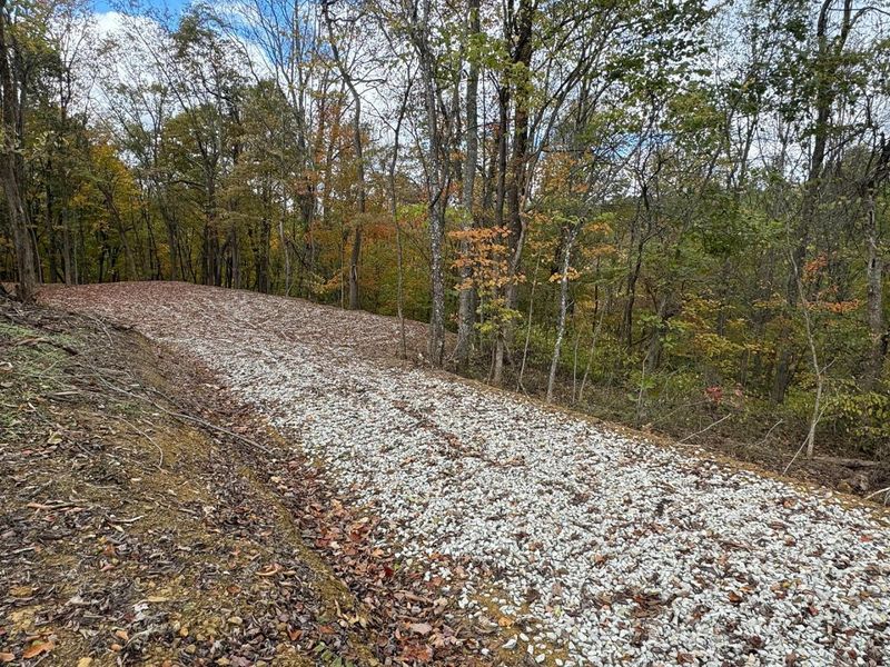 7471 Township Rd 215-A SE, Unit (Tract 4 a, Corning, OH 43730 Photo 9