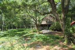 10043 N Carolina Road photo 4