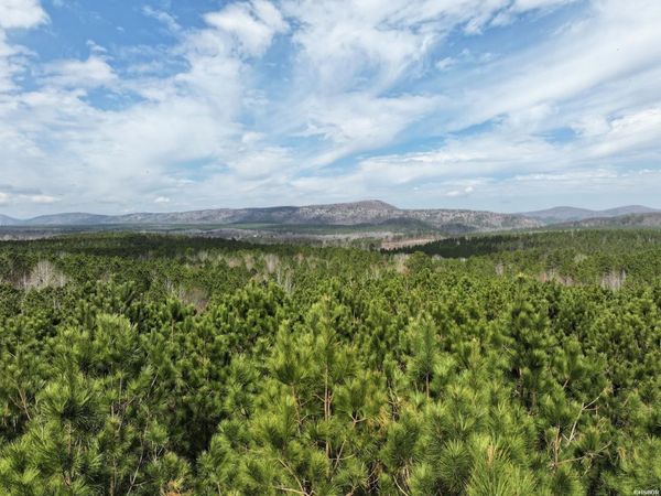 XXX J DUNSON, Langley, AR 71952