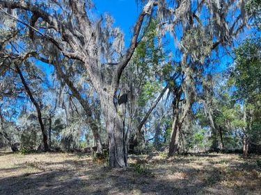 000 HARRIS FISH CAMP Road, Crescent City, FL 32112