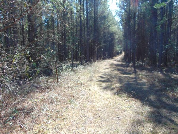 9655 Co Rd 2, Double Springs, AL