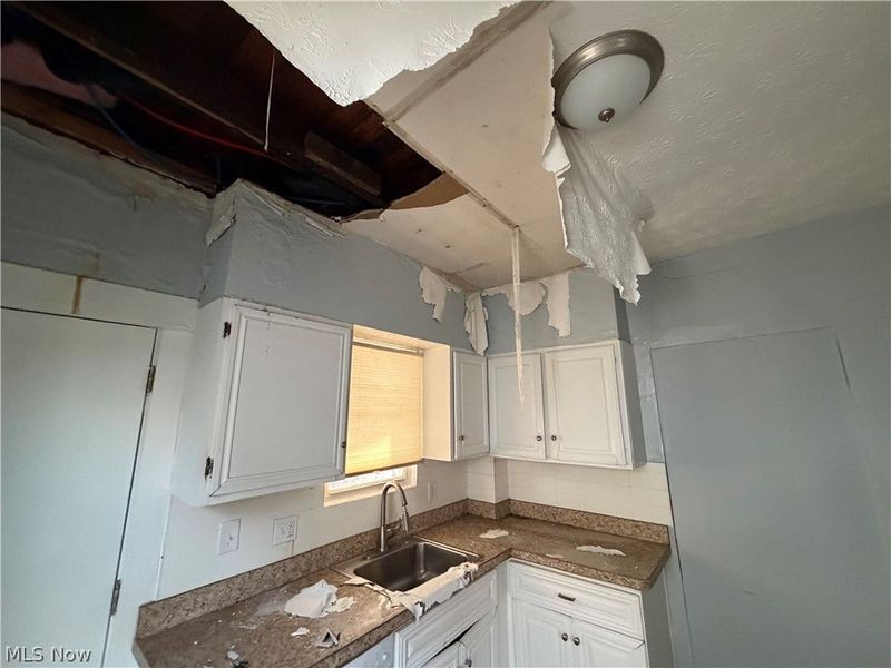 12028 Wade Park Avenue, Cleveland, OH 44106 Photo 3