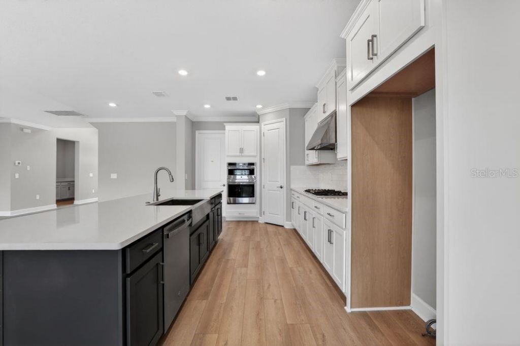 14223 Sawmill Street, Parrish, FL 34219 Photo