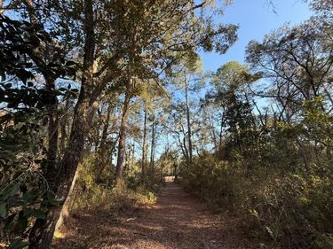 000 NE 126 STREET, BRONSON, FL 32621