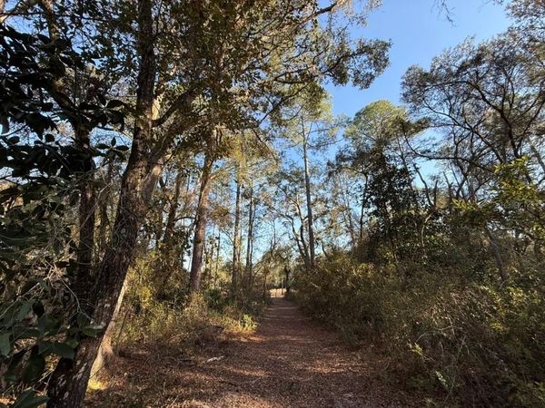 000 NE 126 STREET, BRONSON, FL 32621