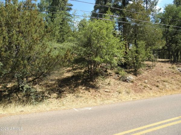 6454 W BRADSHAW Drive, Unit 116, Pine, AZ 85544
