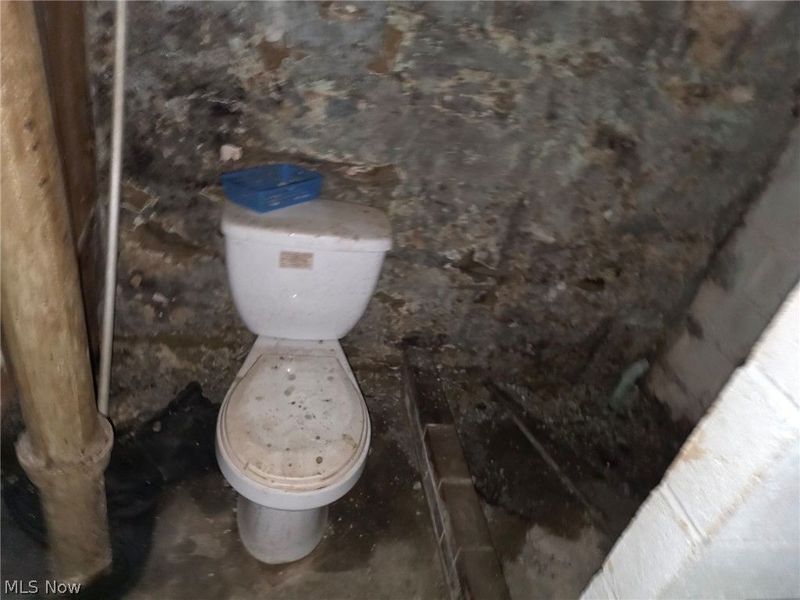 13607 Beaumont Avenue, Cleveland, OH 44112 Photo 17