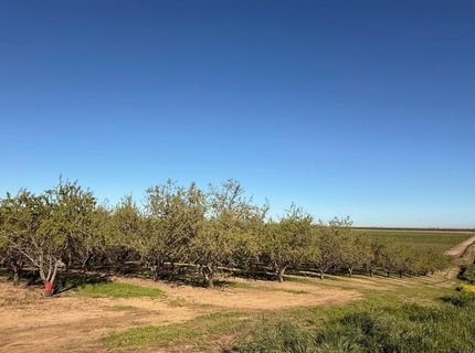 4060 Orestimba Rd, Newman, CA 95360 Photo