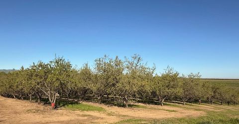 4060 Orestimba Rd, Newman, CA 95360 Photo