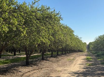 4060 Orestimba Rd, Newman, CA 95360 Photo