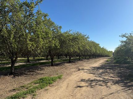 4060 Orestimba Rd, Newman, CA 95360 Photo