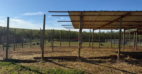 4060 Orestimba Rd, Newman, CA 95360 Photo