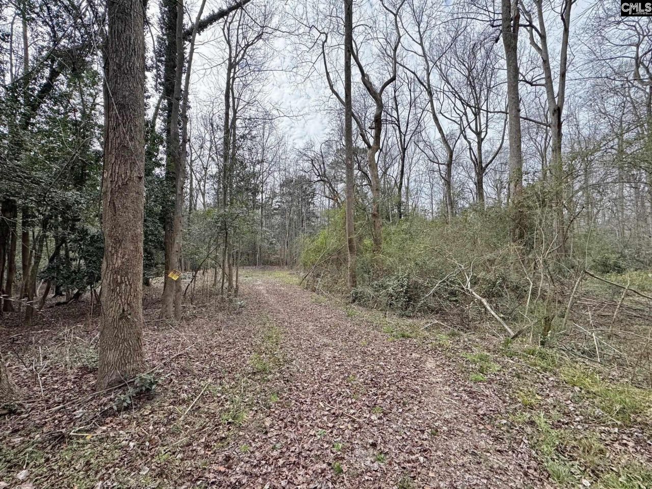 0 Tall Timber Drive  Photo 7