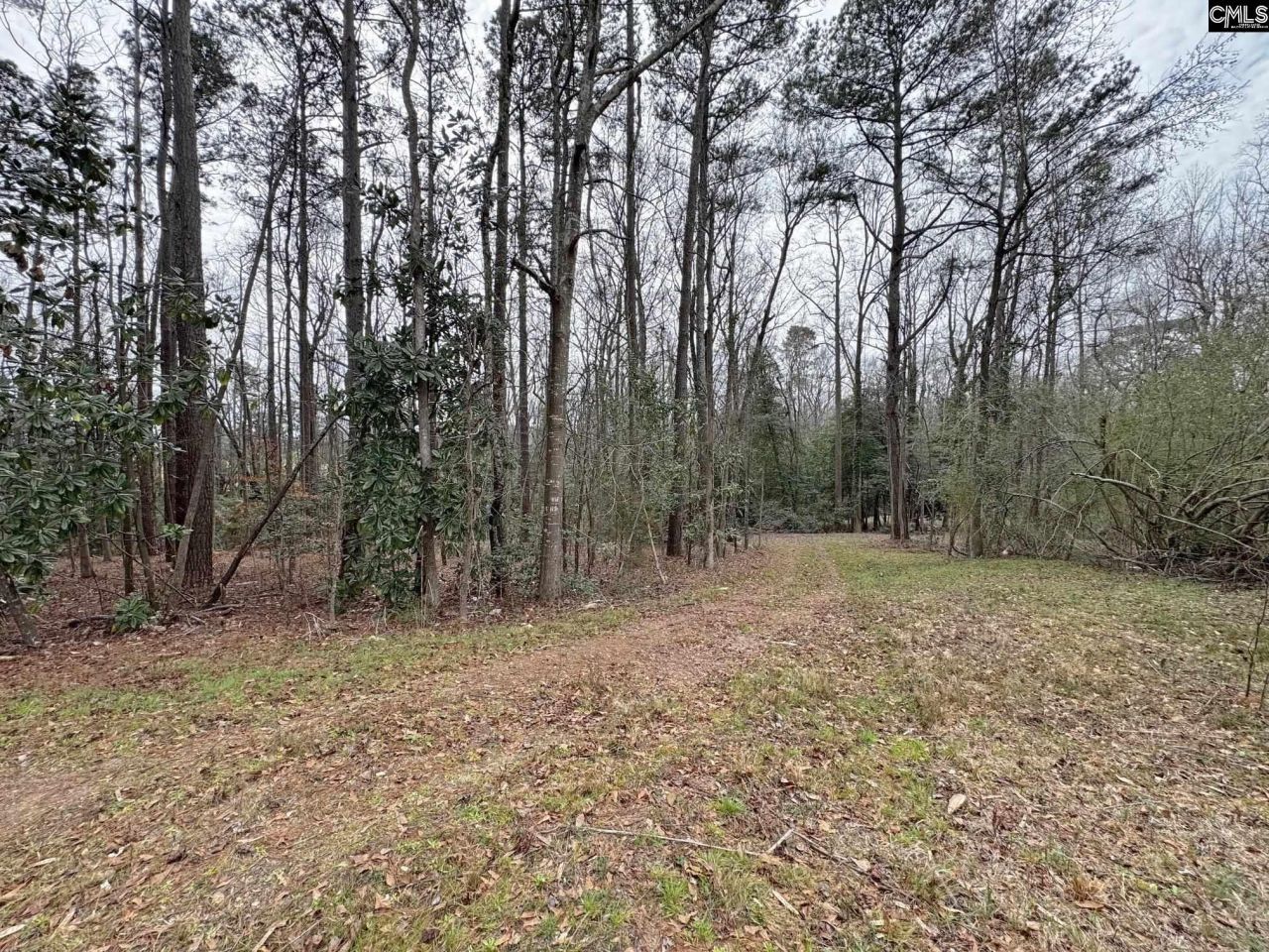 0 Tall Timber Drive  Photo 9