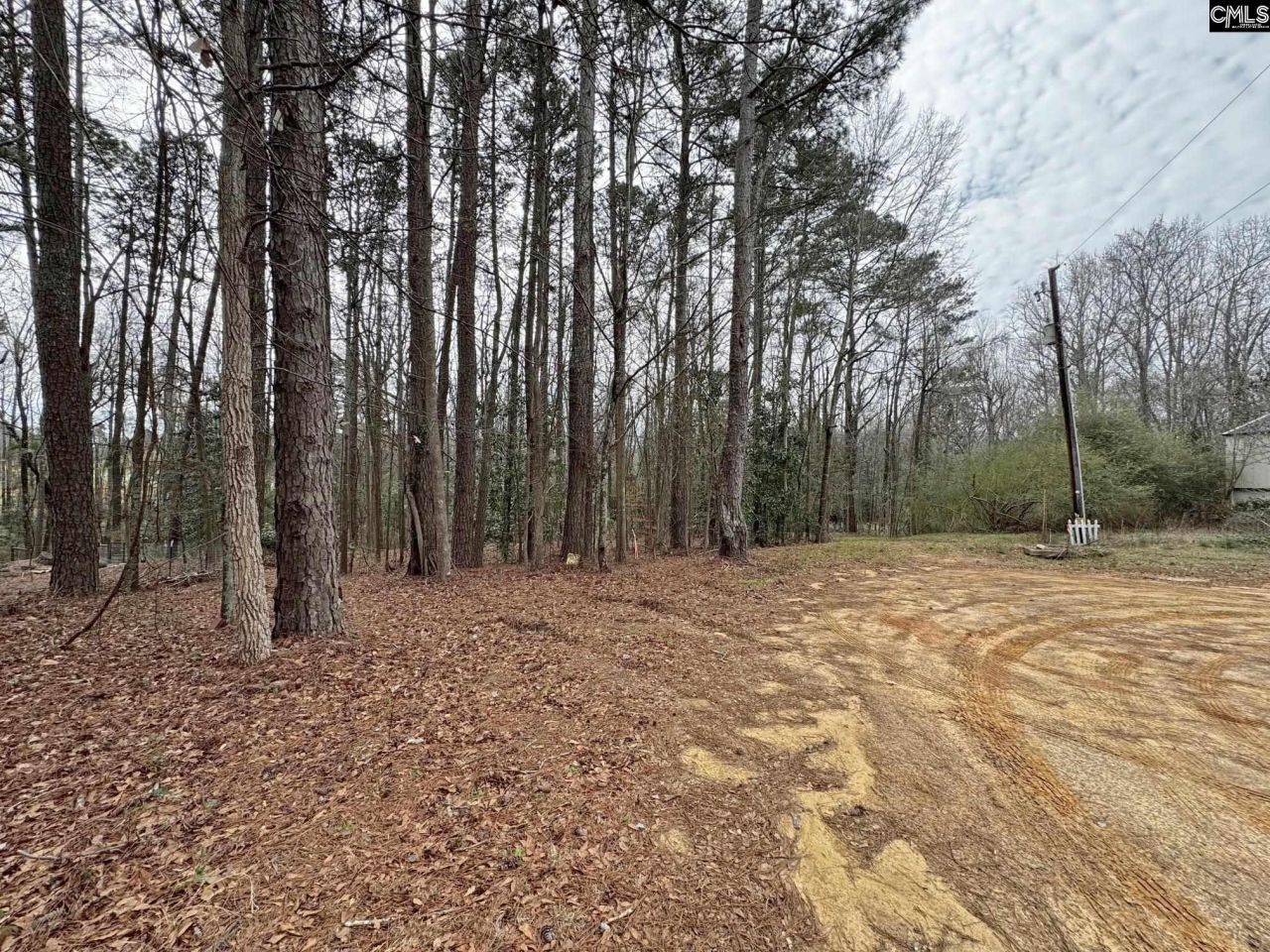 0 Tall Timber Drive  Photo 11