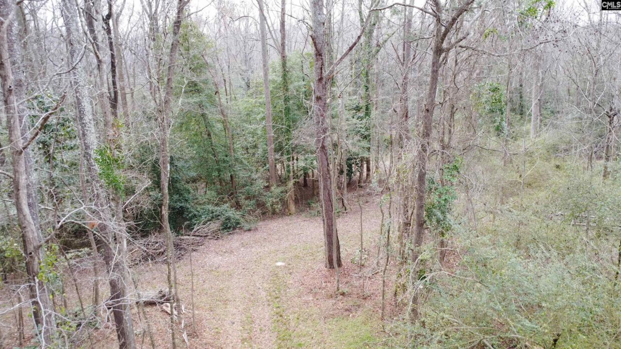 0 Tall Timber Drive  Photo 13