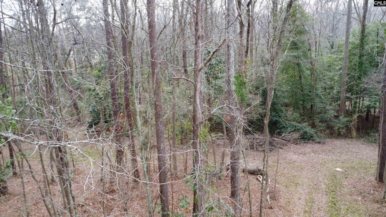 0 Tall Timber Drive  Photo 14