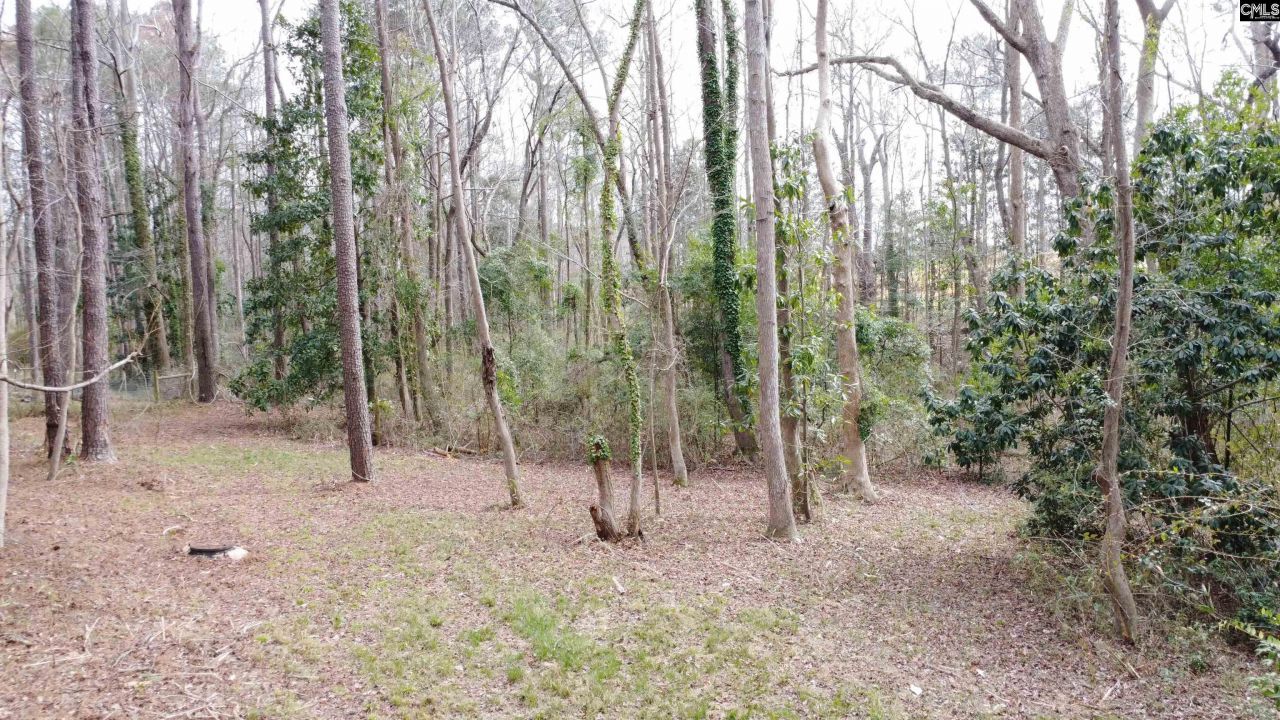 0 Tall Timber Drive  Photo 19