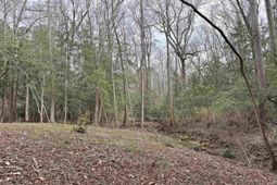 0 Tall Timber Drive  photo 4