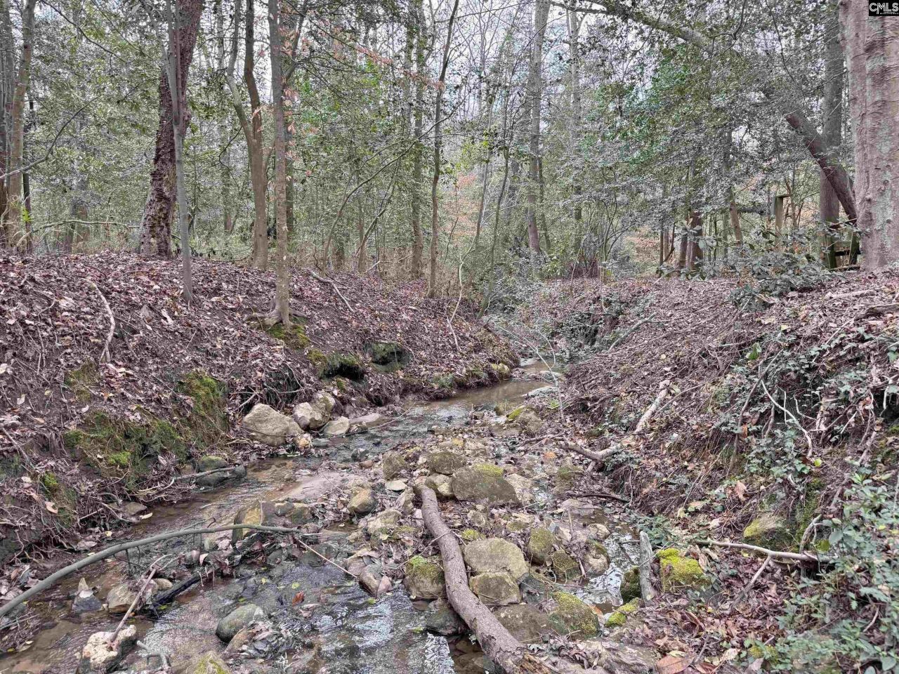 0 Tall Timber Drive  Photo 4