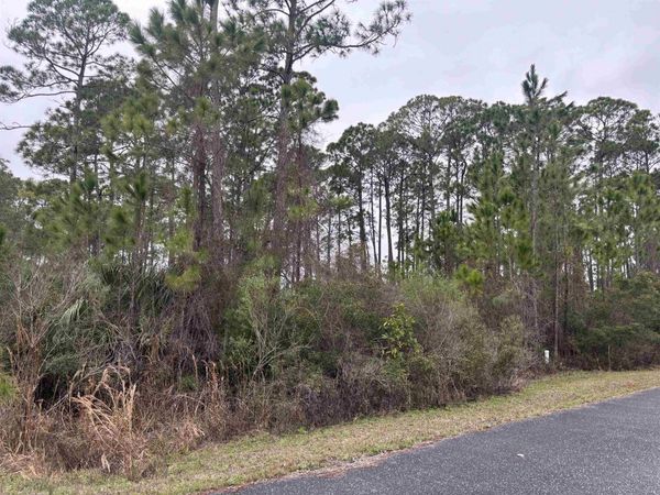 Lot 42 Wilderness Way, Panacea, FL 32346