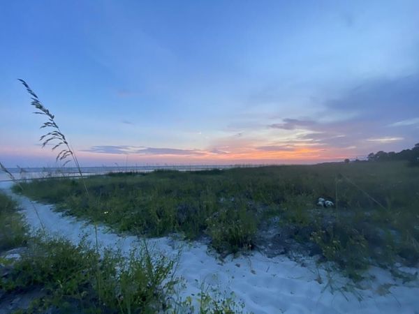 160 Harbor Circle, Alligator Point, FL