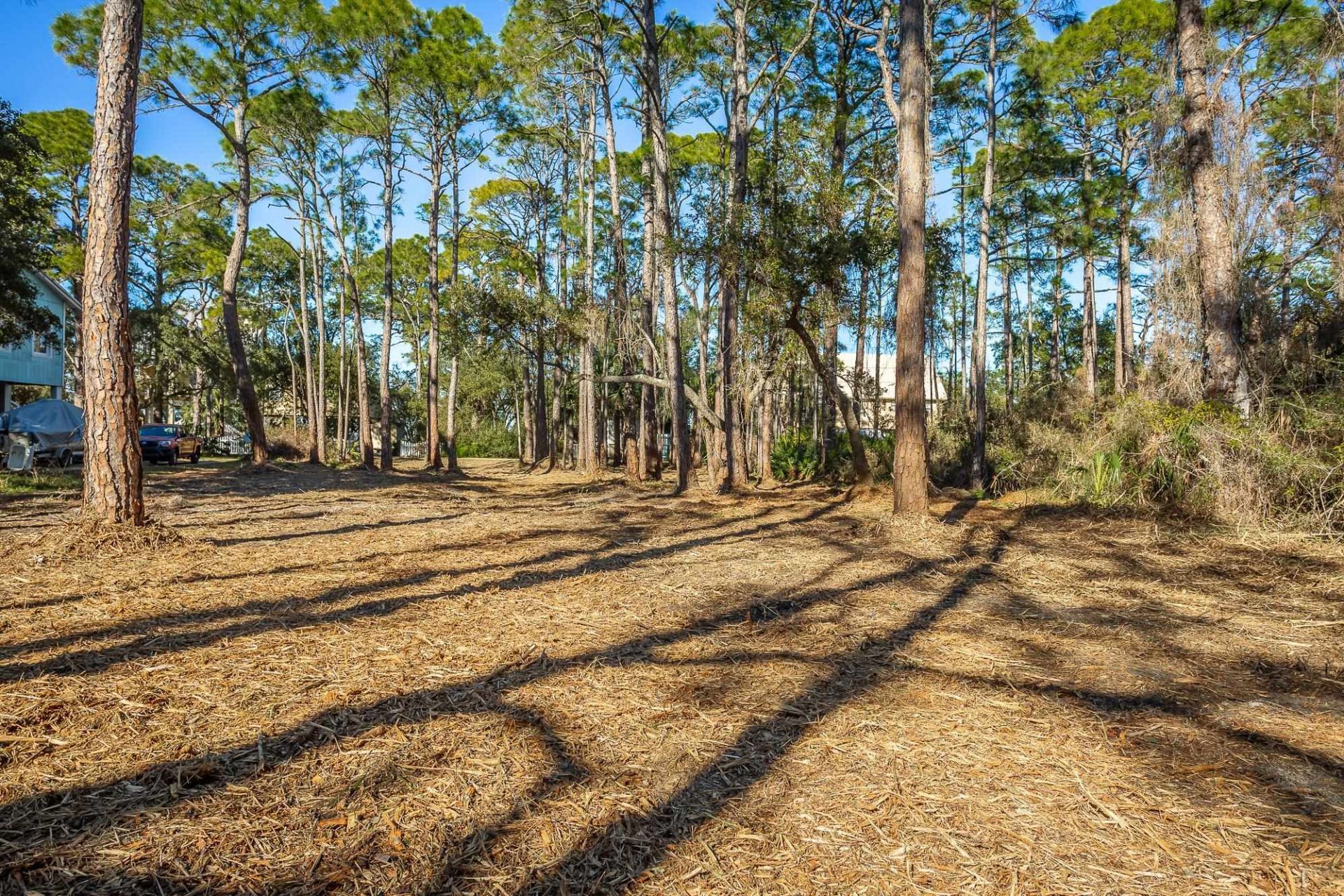 160 Harbor Circle, Alligator Point, FL 00000 Photo