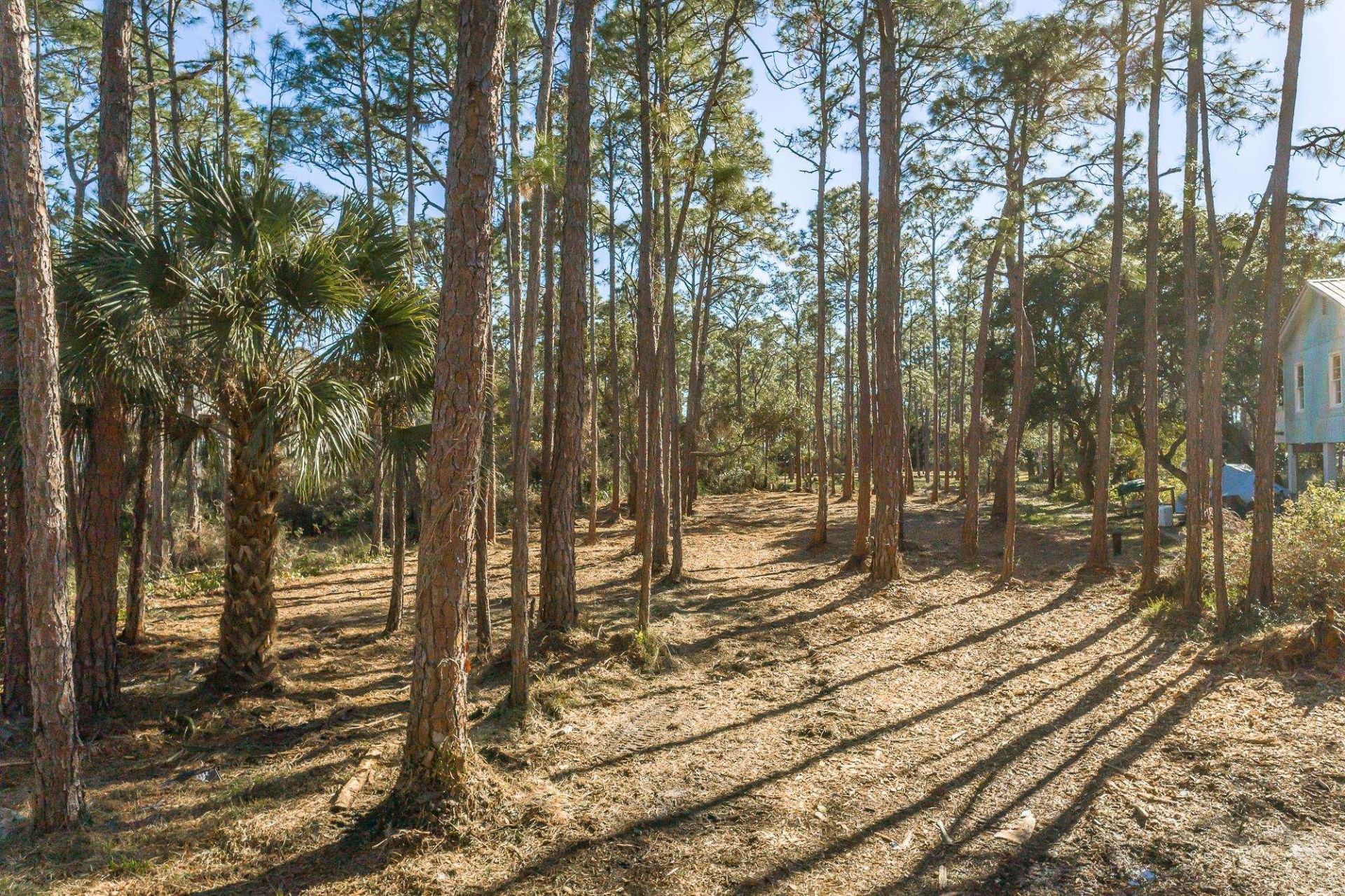 160 Harbor Circle, Alligator Point, FL 00000 Photo