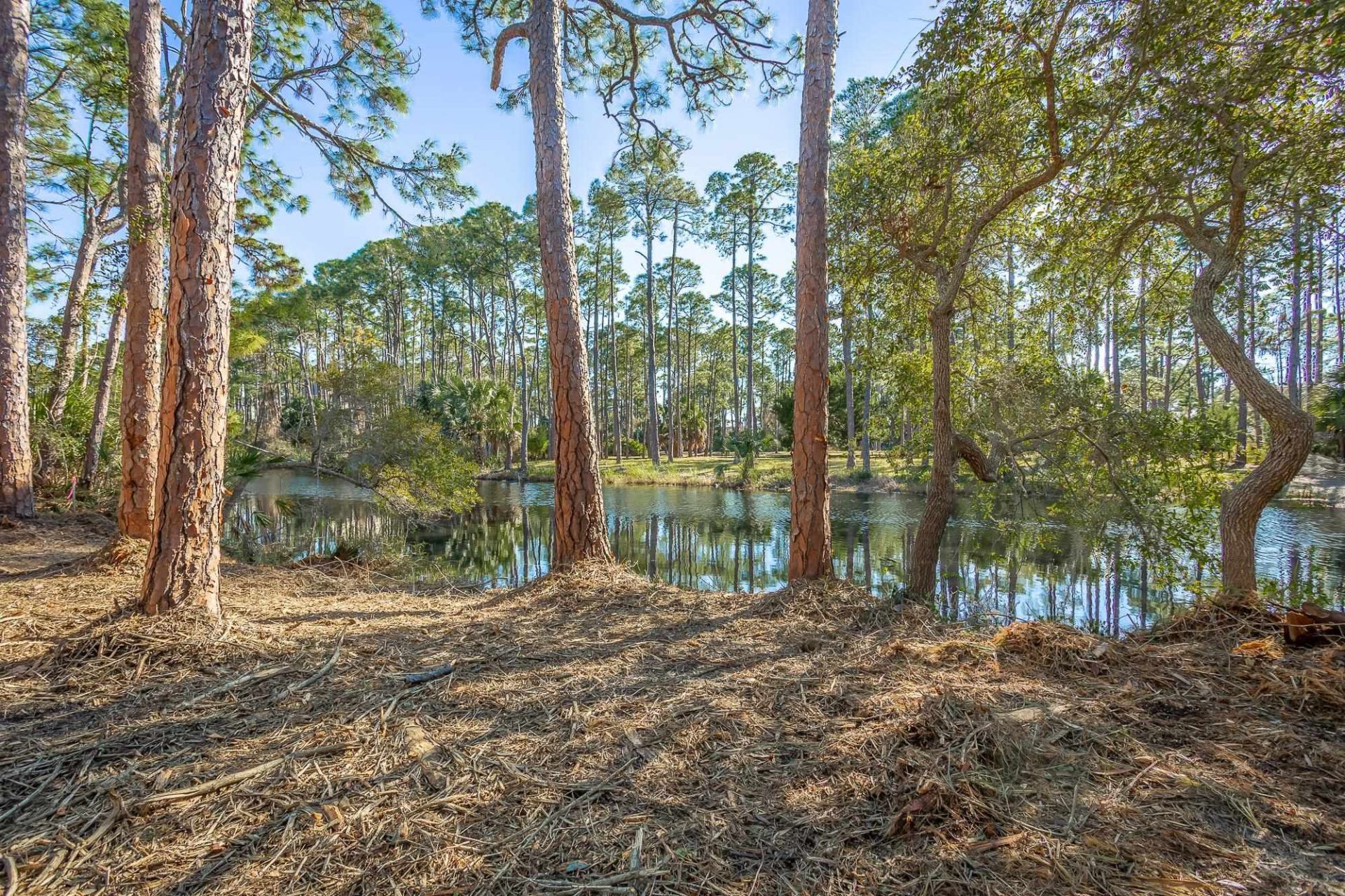 160 Harbor Circle, Alligator Point, FL 00000 Photo