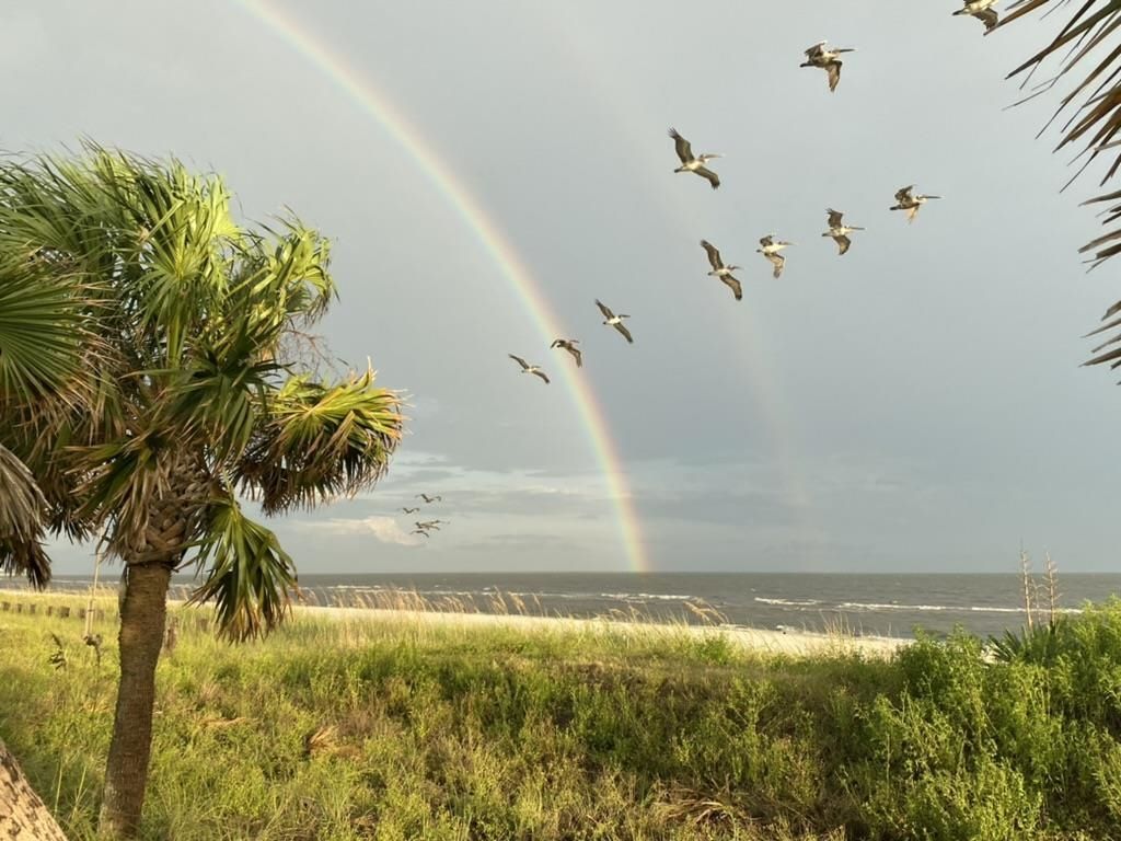 160 Harbor Circle, Alligator Point, FL 00000 Photo