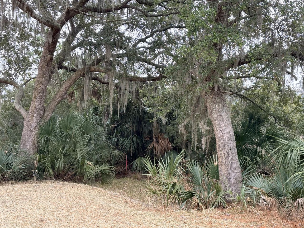 8970 Palmetto Road Photo 33