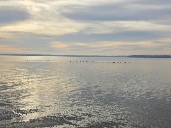 W9592 Lake Dr, Sumner, WI 53534