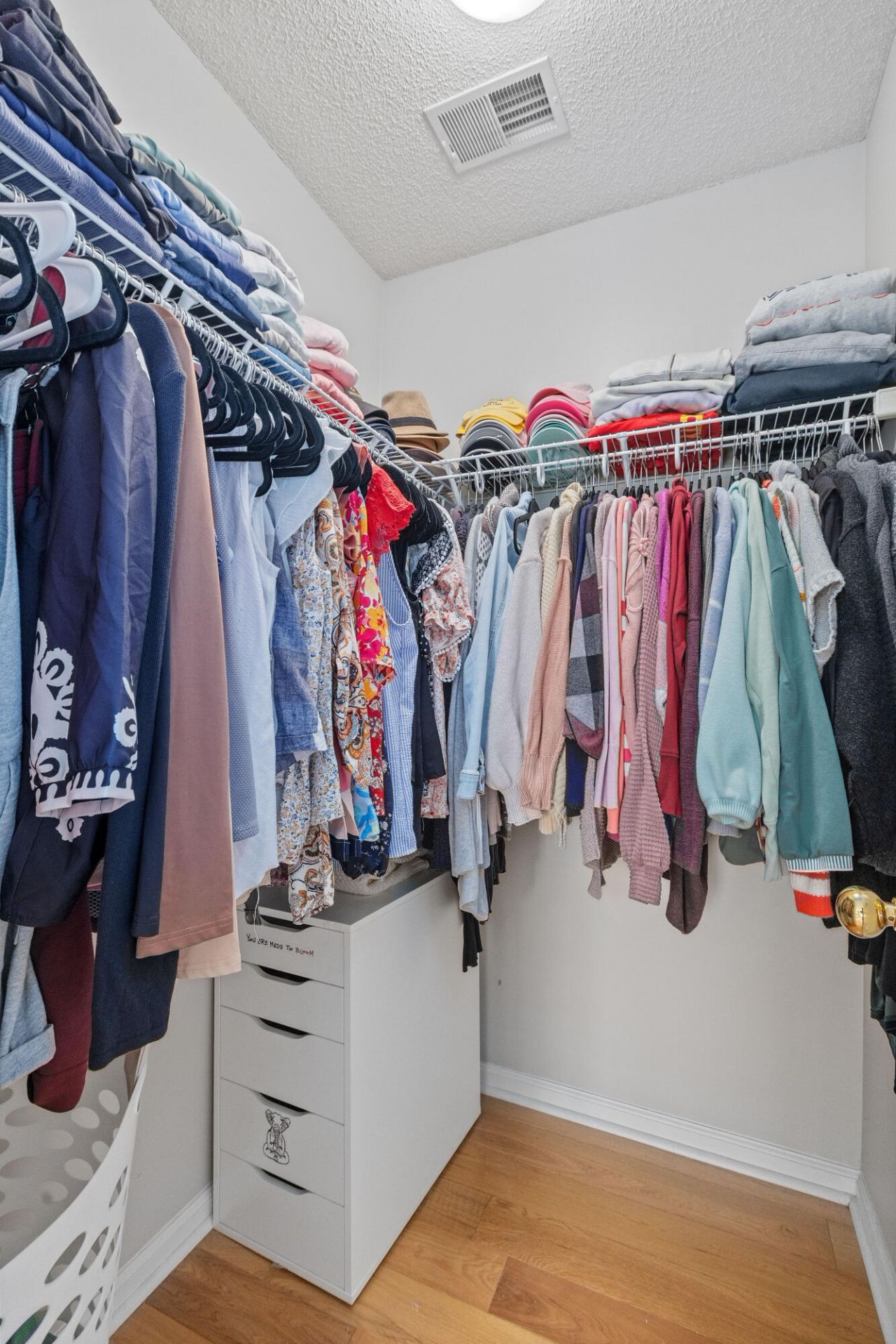 534 Beverly Drive Photo 24