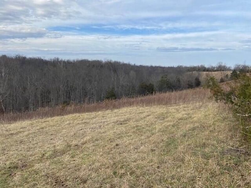 1390 Belmont Road, Brooksville, KY 41004 Photo 13