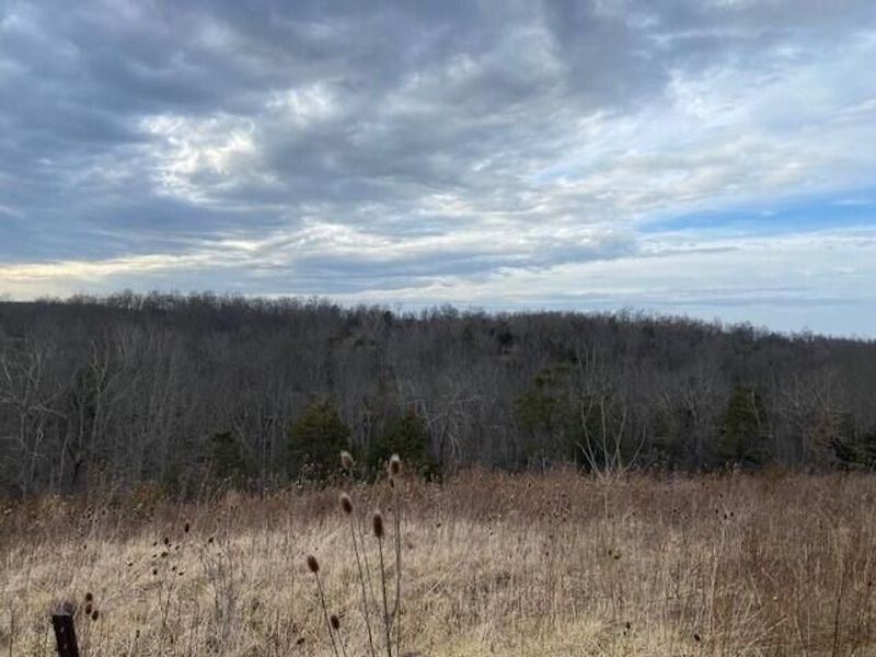 1390 Belmont Road, Brooksville, KY 41004 Photo 14