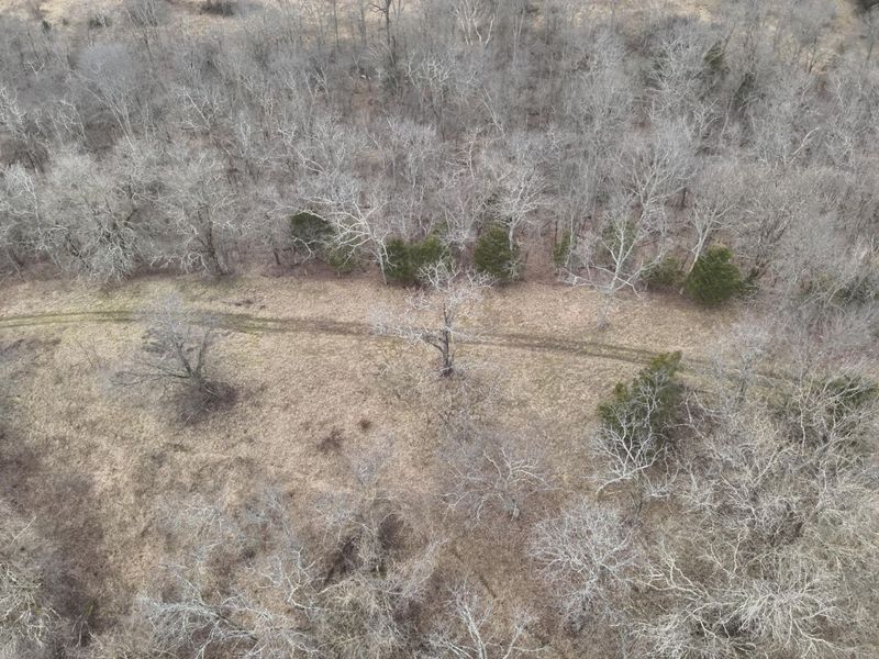 1390 Belmont Road, Brooksville, KY 41004 Photo 15