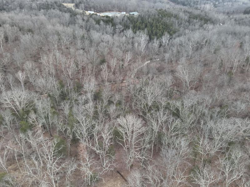 1390 Belmont Road, Brooksville, KY 41004 Photo 17