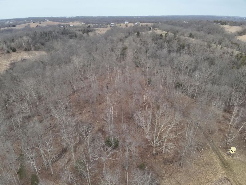 1390 Belmont Road, Brooksville, KY 41004 Photo 18