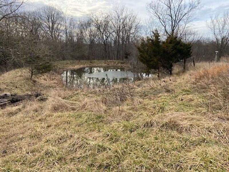 1390 Belmont Road, Brooksville, KY 41004 Photo 2